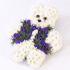 Teddy Bear Tribute - Blue